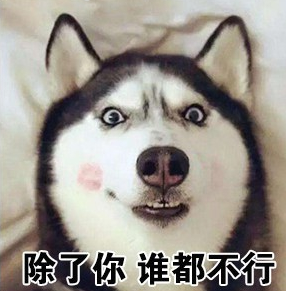 土味情话二哈qq表情包