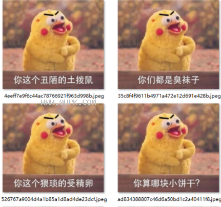 鹦鹉兄弟骂人qq表情包