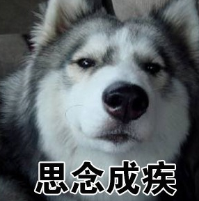 土味情话二哈qq表情包