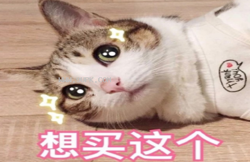 七夕撒娇专用qq表情包