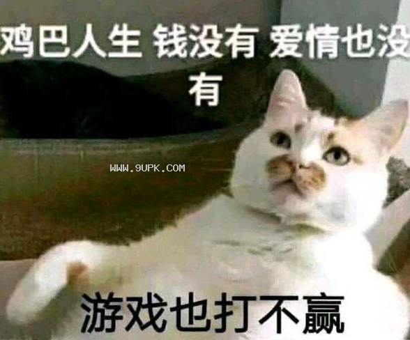 钱也没有爱情也没有qq表情包