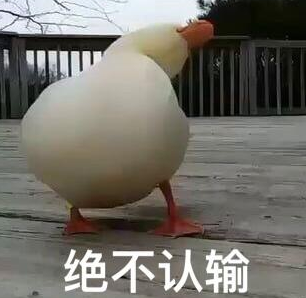 愁鸭qq表情包