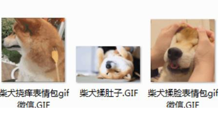 神烦狗跳舞GIFqq表情包