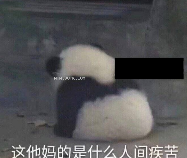 给你个机会偷亲qq表情包