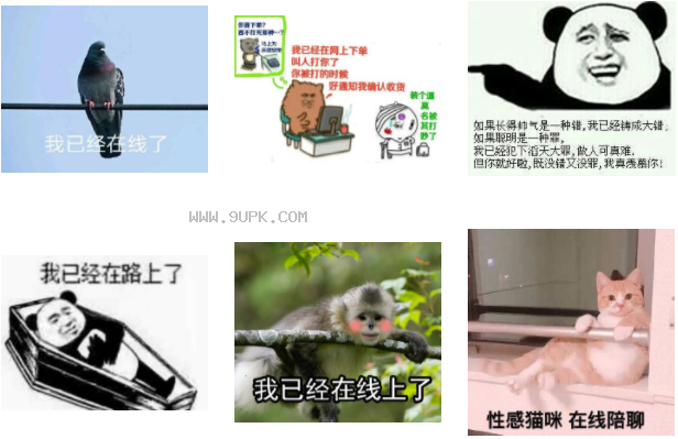 鸽子我已经在线上了qq表情包