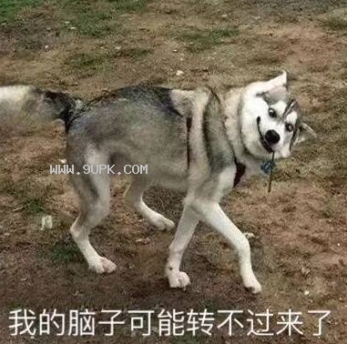 别人的脑子我的脑子qq表情包