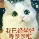 超萌猫咪可爱qq表情包