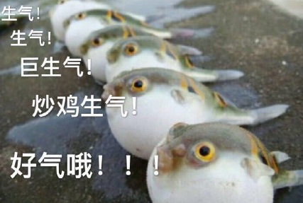 吐水的河豚qq表情包