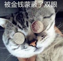 超萌猫咪可爱qq表情包