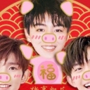 TFboys三只小猪qq表情包