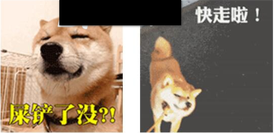 超萌柴犬qq表情包