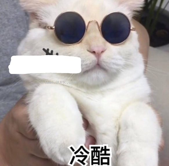 超级萌喵星人qq表情包