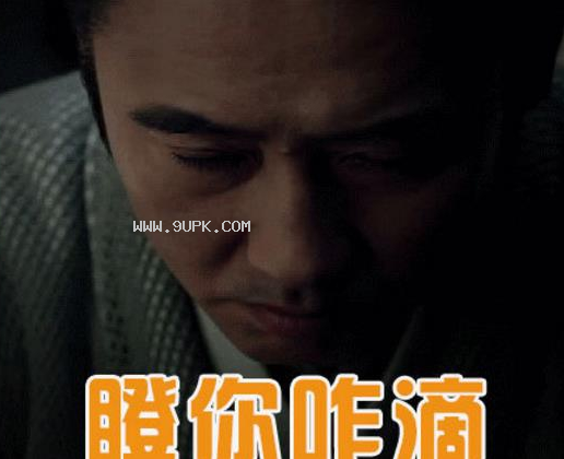 军师联盟吴秀波qq表情包