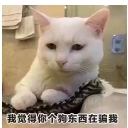我觉得你个狗东西在骗我qq表情包