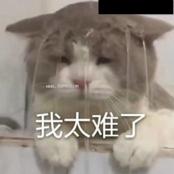 giao哥我太难了qq表情包