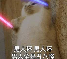 抖音猫拿荧光棒qq表情包