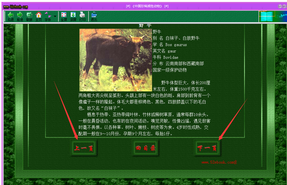 中国珍惜濒危动物图片大全之兽类表情包