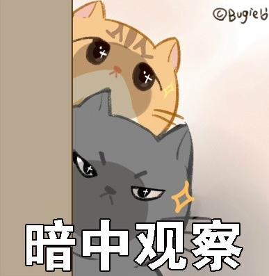 在外面有猫了表情包 高清版
