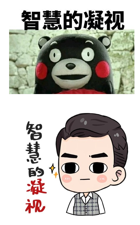 智慧的凝视表情包 完整版