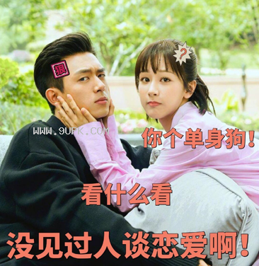 亲爱的热爱的李现杨紫qq表情包