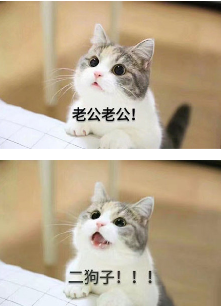 沉迷老公系列表情包 无水印版