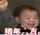 猪年拜年qq表情包