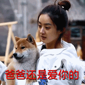 赵丽颖蘑菇屋狂甩表情包 无水印版