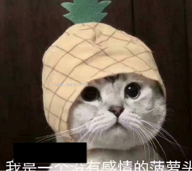 我是一个没有感情的菠萝头qq表情包