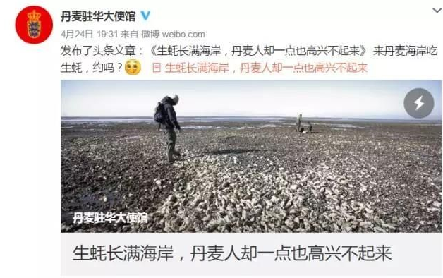 生蚝我们走表情包 无水印版