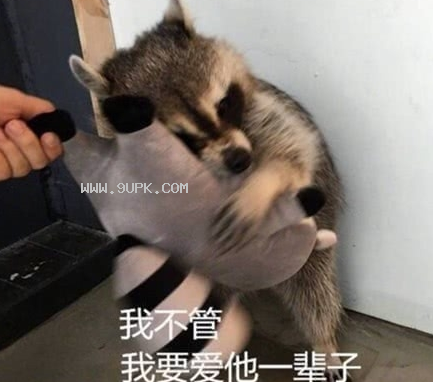 多喝热水少做梦qq表情包