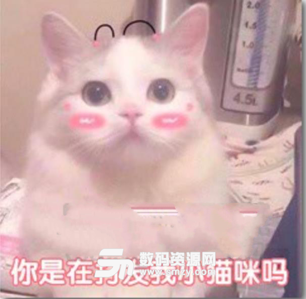 要不要亲我一口萌萌哒qq表情包