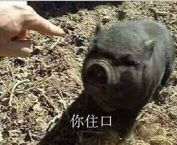 你住口表情包 无水印版