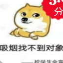 高校禁烟qq表情包