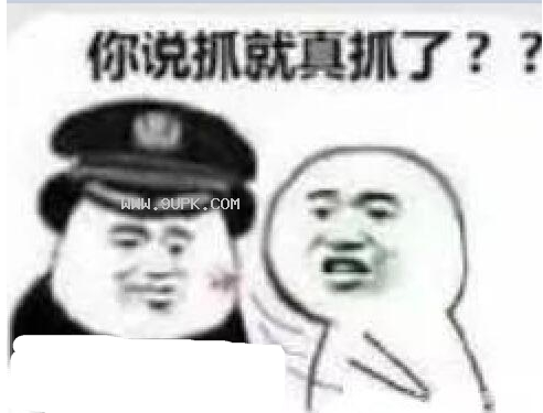 你说抓就真抓了qq表情包