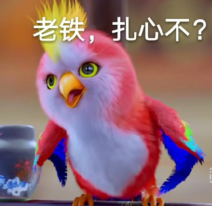 苍梧鸟带字图片表情包 无水印版