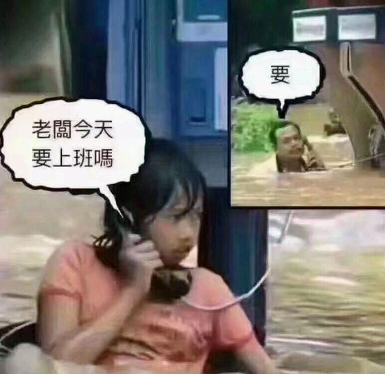 苗柏趣味表情包 整合版