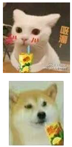 维他柠檬茶表情包 无水印版