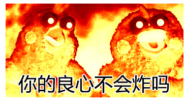 鹦鹉兄弟你的良心不会炸吗 无水印版