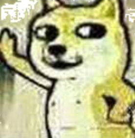 性感柴犬qq表情包