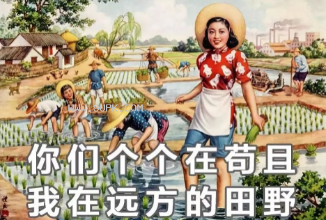 新时代女性生存指南qq表情包
