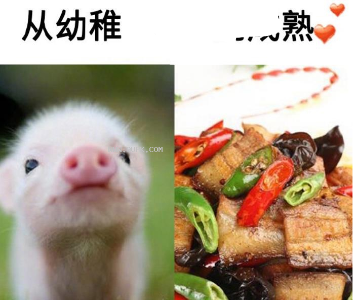 从幼稚到成熟qq表情包