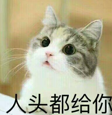 王者荣耀求带表情包 高清版