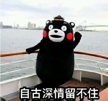 终极撩妹套路表情包