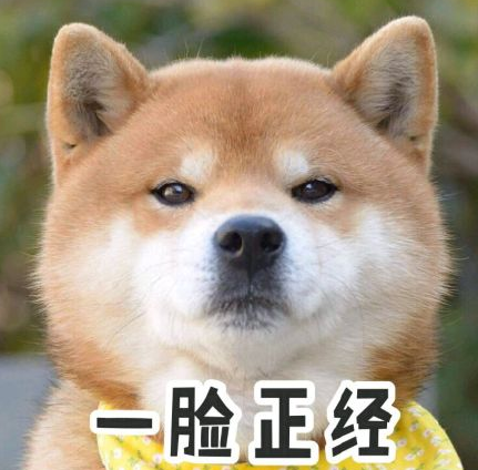 柴犬表情包