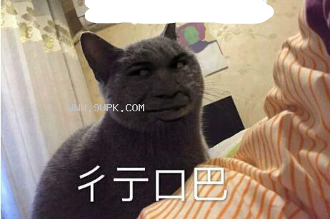 魔性行不行qq表情包
