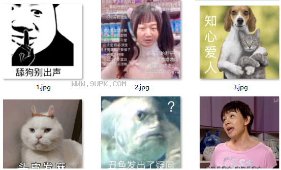 知心爱人猫狗qq表情包