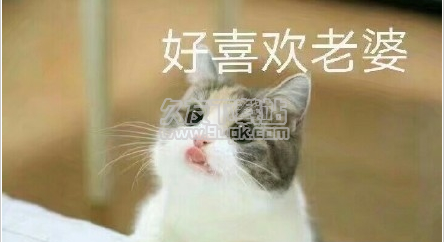 猫妻奴表情包 最新高清版