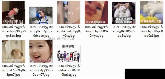 猫咪偷偷抹眼泪qq表情包