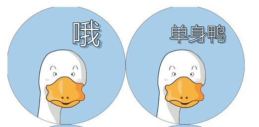 快乐鸭QQ表情包