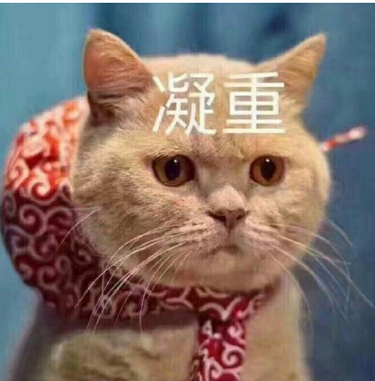 萌猫咪表情 高清版